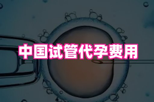 杭州助孕网 1