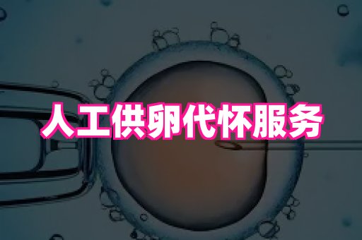 杭州助孕网 1