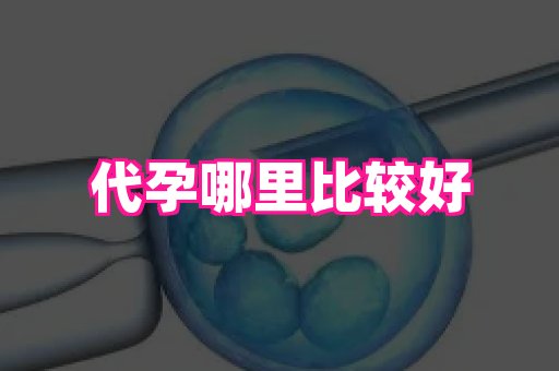杭州助孕网 3