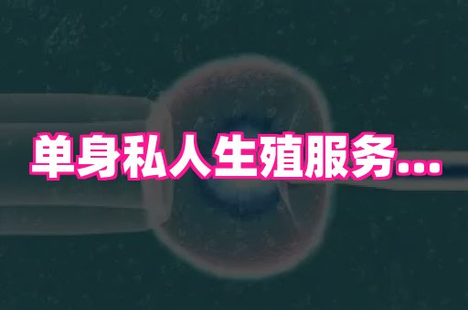 杭州助孕网 4